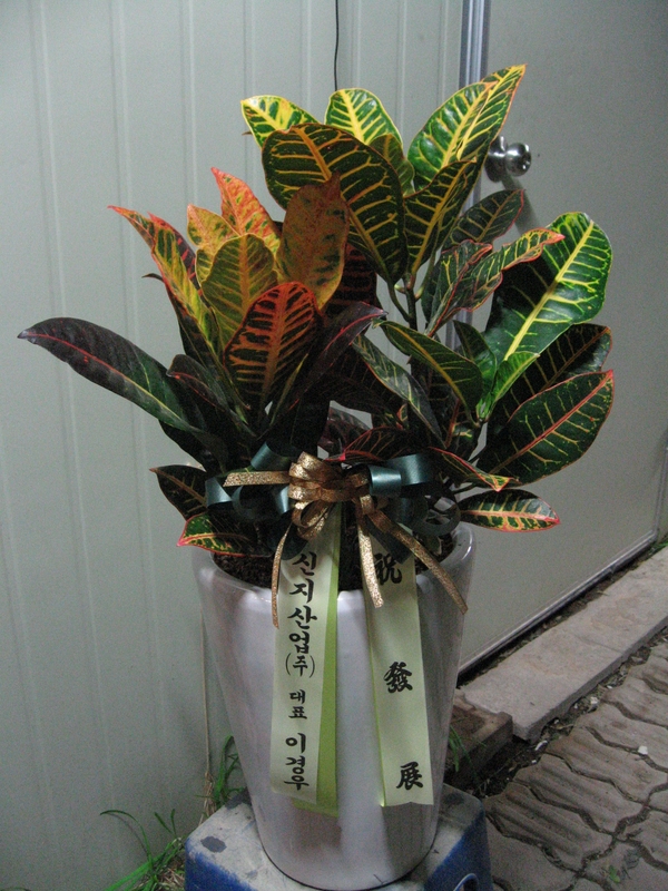 4��20��(������)