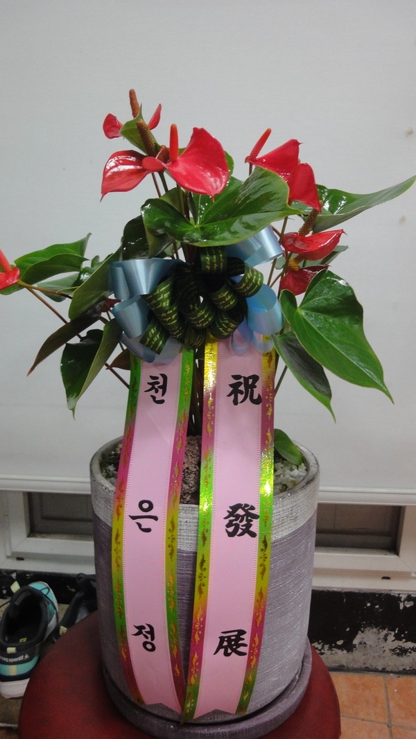 4��20��(������)