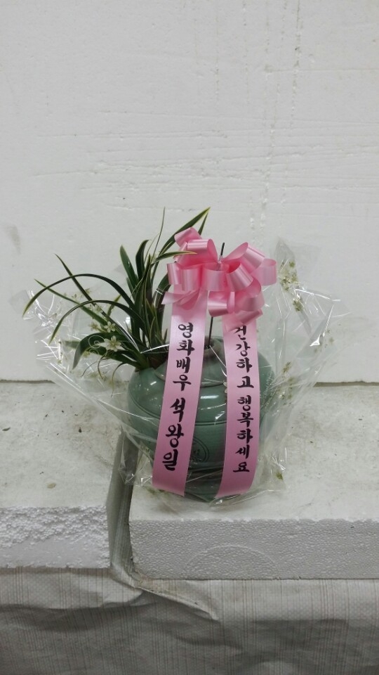 4��20��(������)