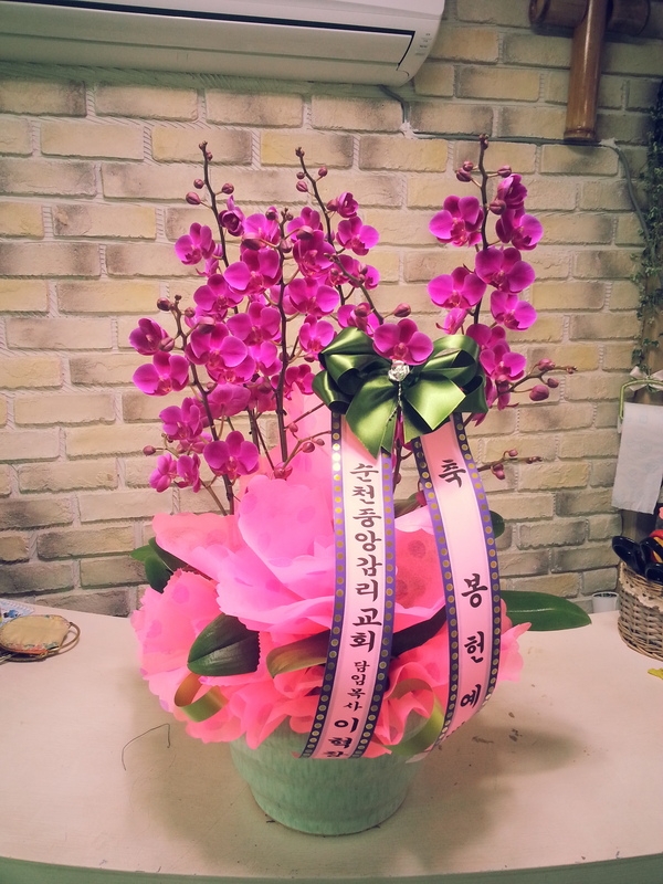 4��20��(������)