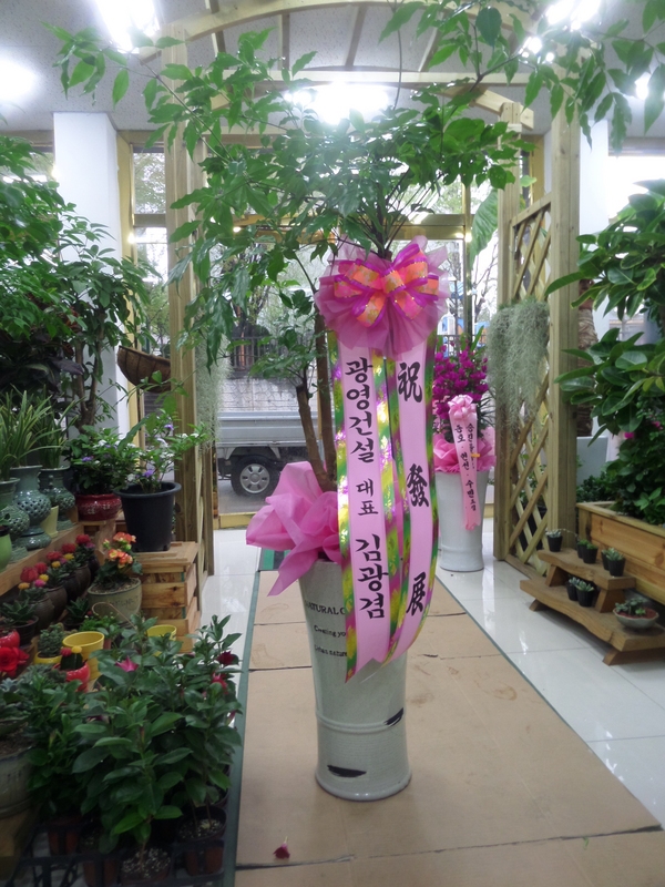 4��20��(������)