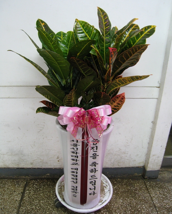 4��20��(������)