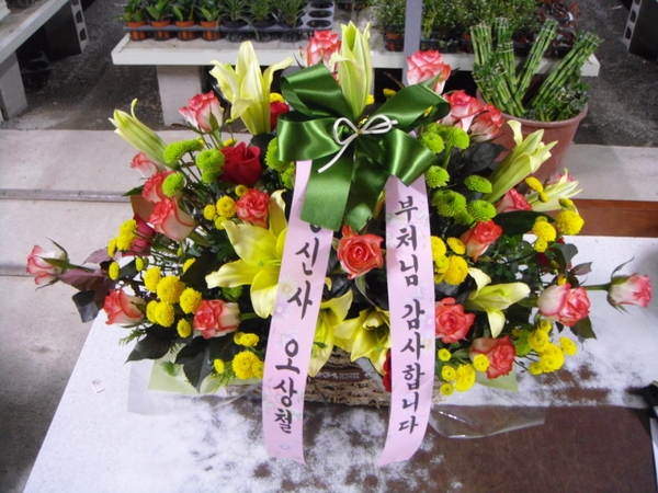 5��2��(�����)