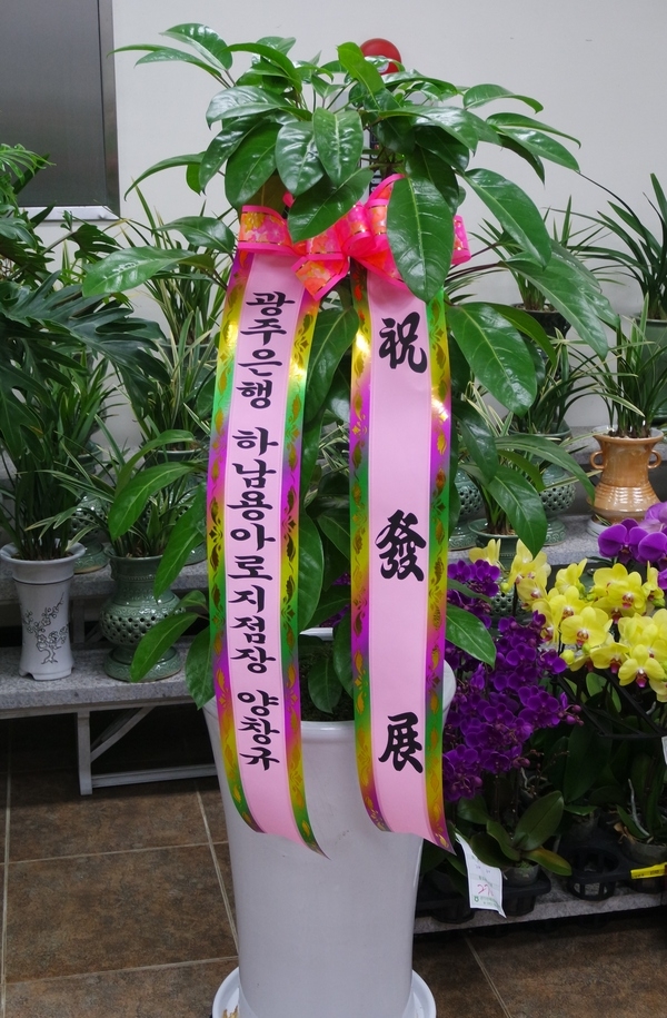 5��2��(�����)