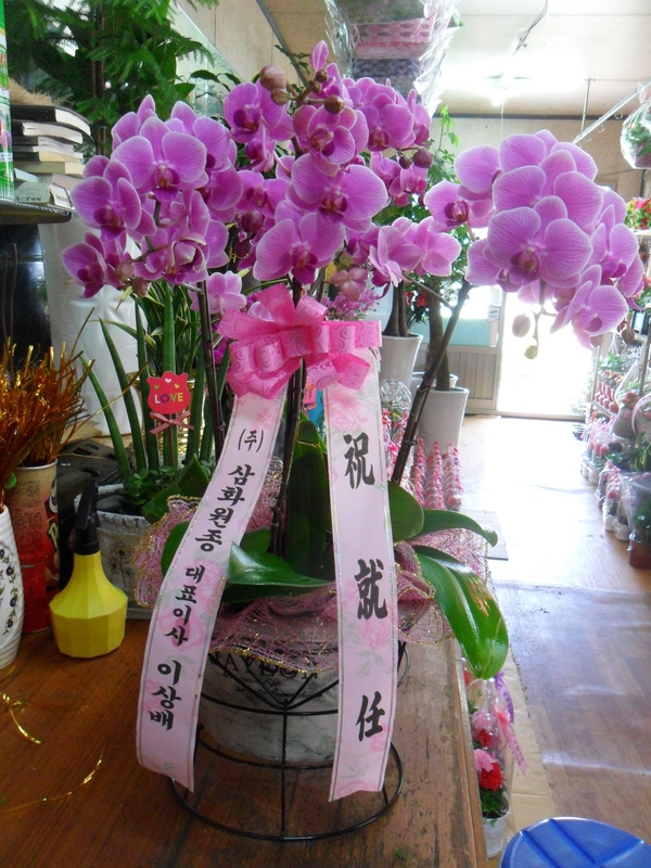 5��2��(�����)