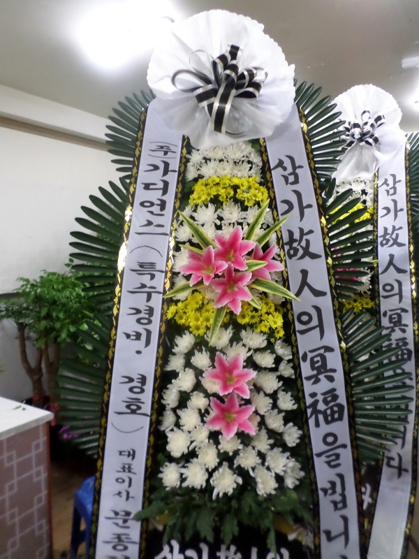 5��2��(�����)