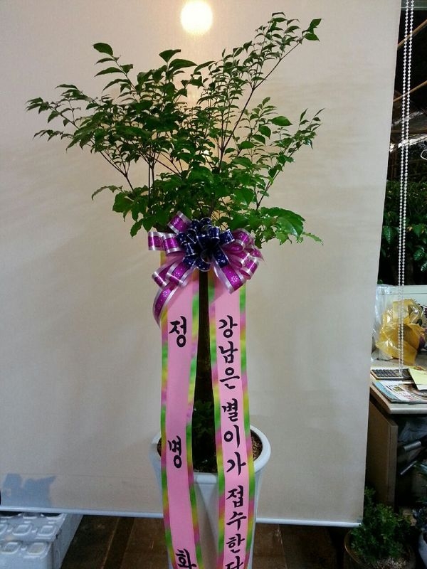 5��2��(�����)