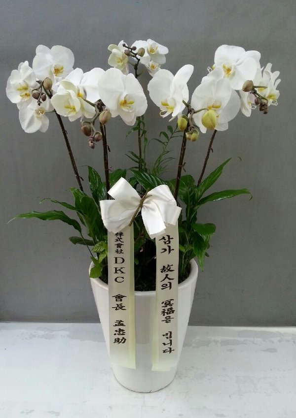 5��2��(�����)