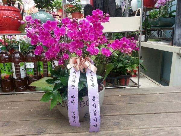 5��2��(�����)