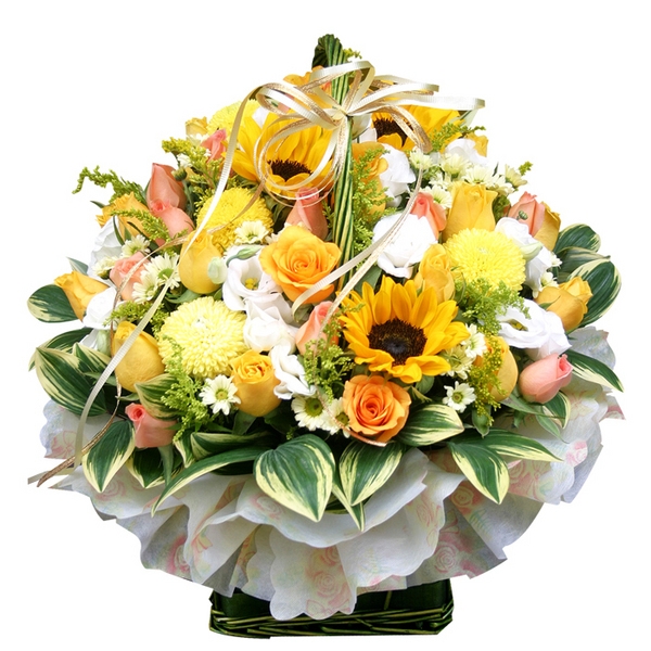 5��7�Ͼ���̳��̺�