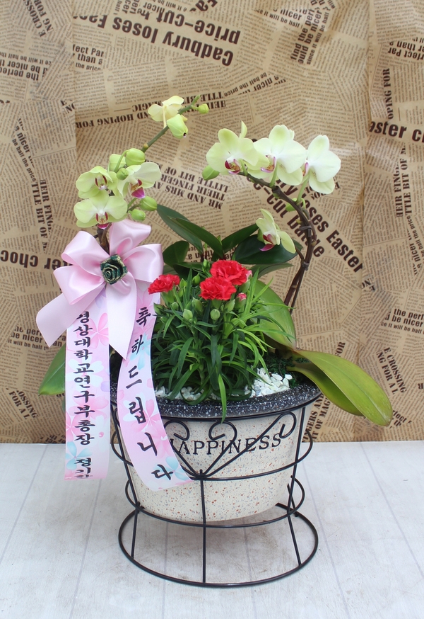 5��7�Ͼ���̳��̺�