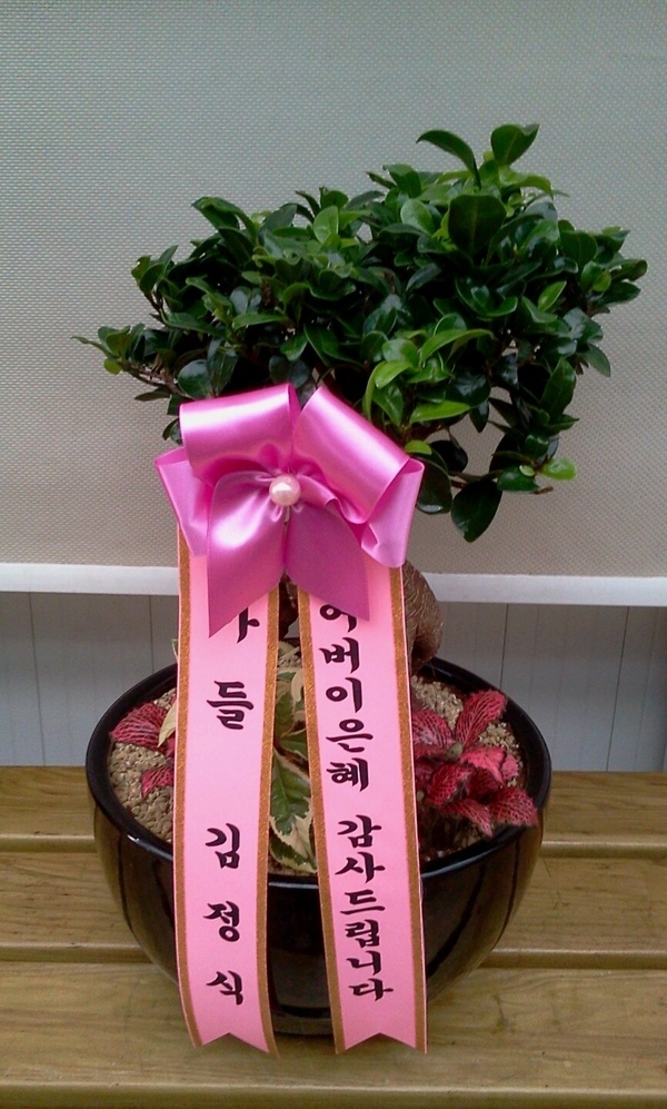 5��7�Ͼ���̳��̺�