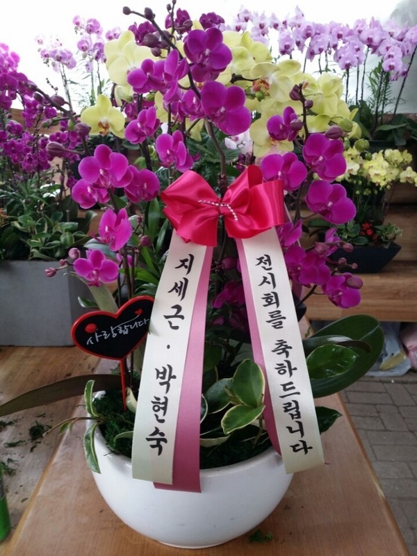 5��7�Ͼ���̳��̺�