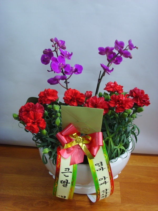 5��7�Ͼ���̳��̺�