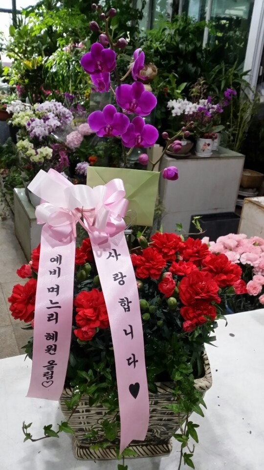 5��7�Ͼ���̳��̺�