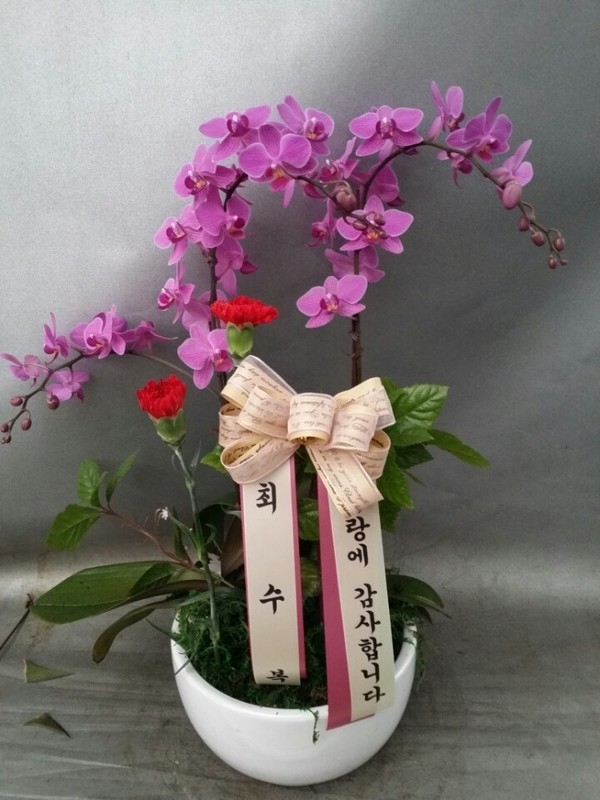 5��7�Ͼ���̳��̺�