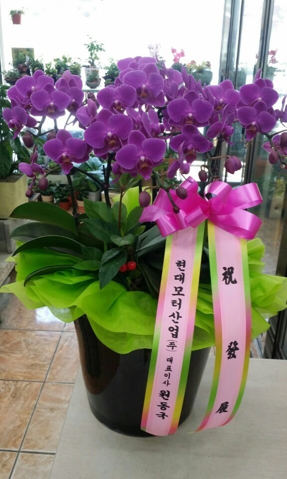 5��22��(�ݿ���)