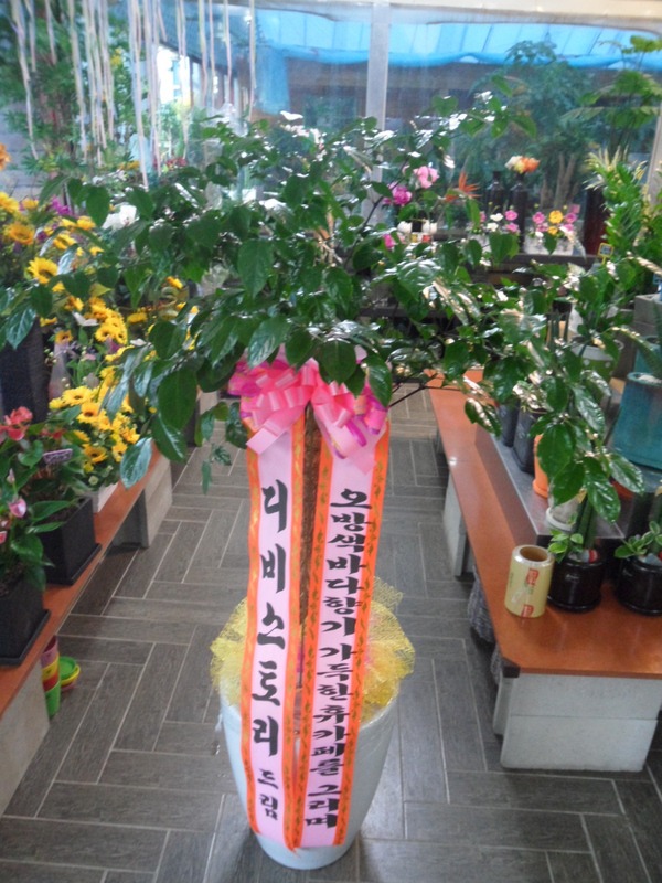 5��22��(�ݿ���)