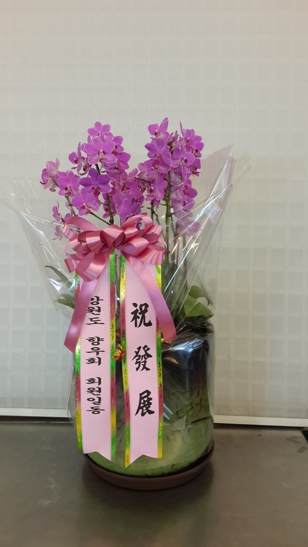 5��22��(�ݿ���)