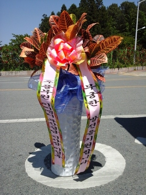 5��22��(�ݿ���)