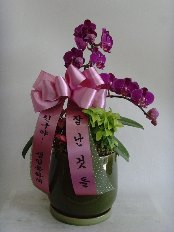 5��22��(�ݿ���)