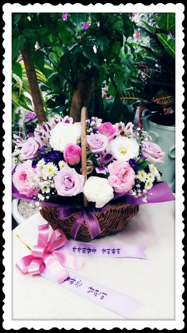 5��22��(�ݿ���)