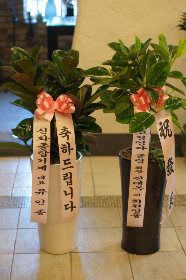 5��22��(�ݿ���)