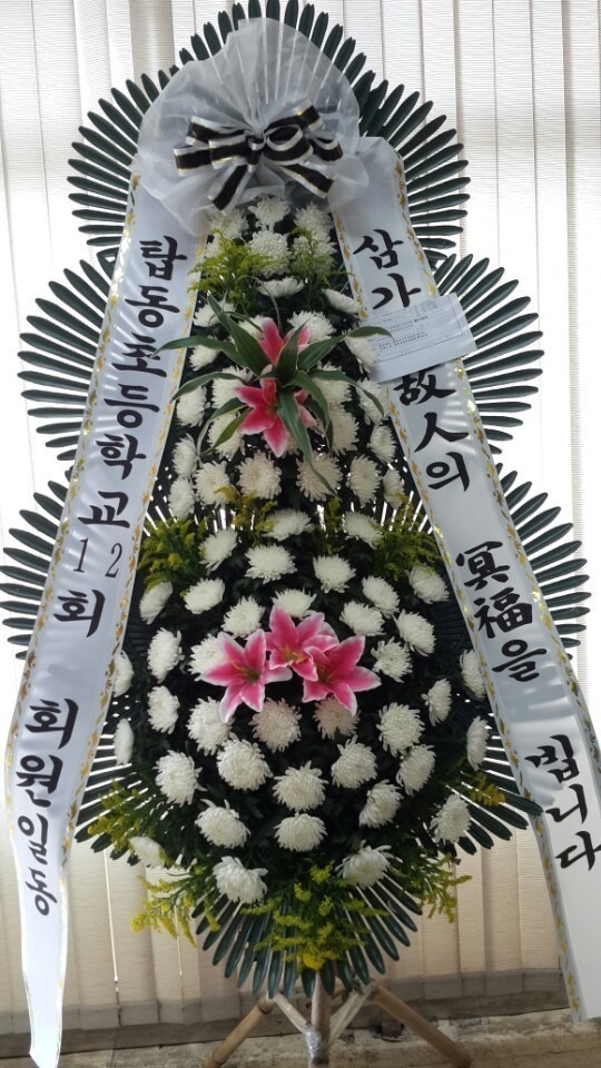 6��10��(������)