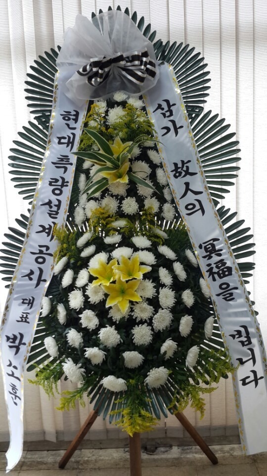 6��10��(������)