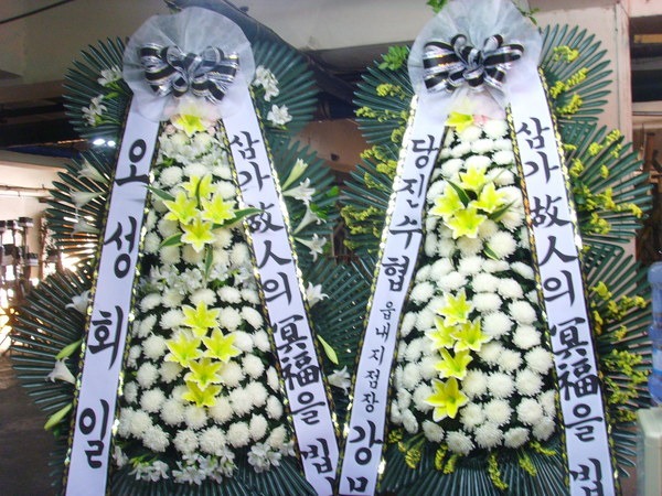 6��10��(������)