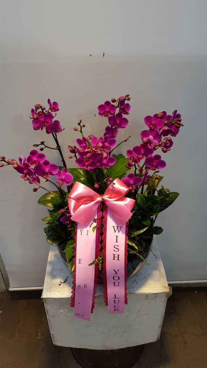 6��10��(������)