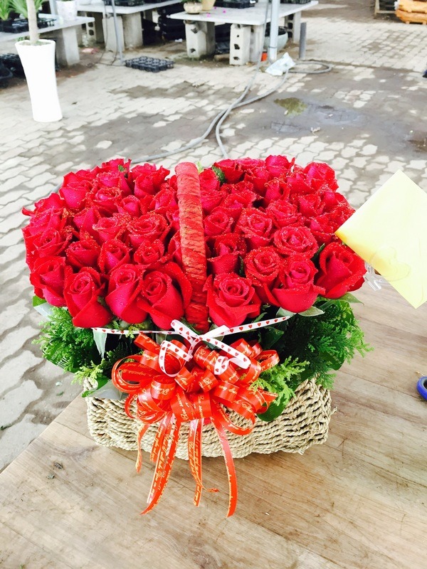 6��10��(������)