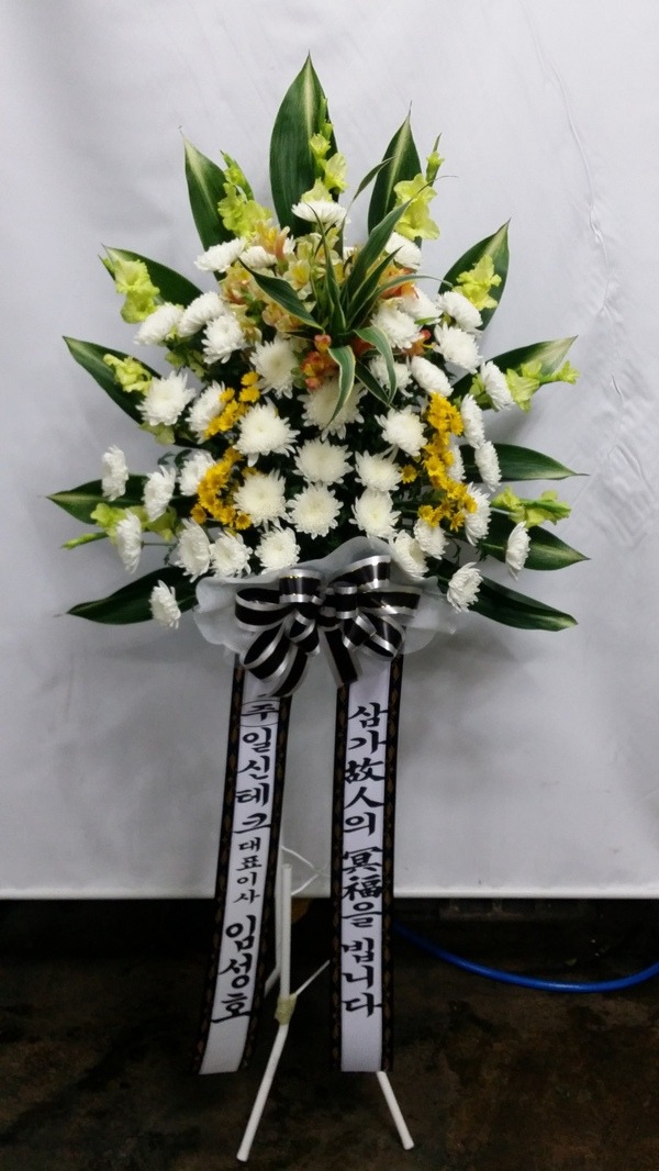 6��10��(������)