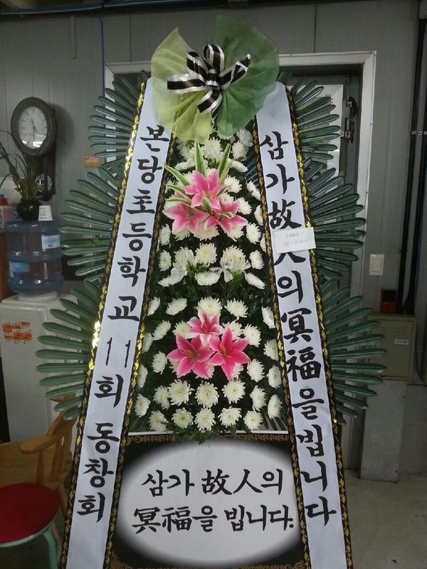 6��12��(�ݿ���)