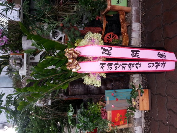 6��12��(�ݿ���)