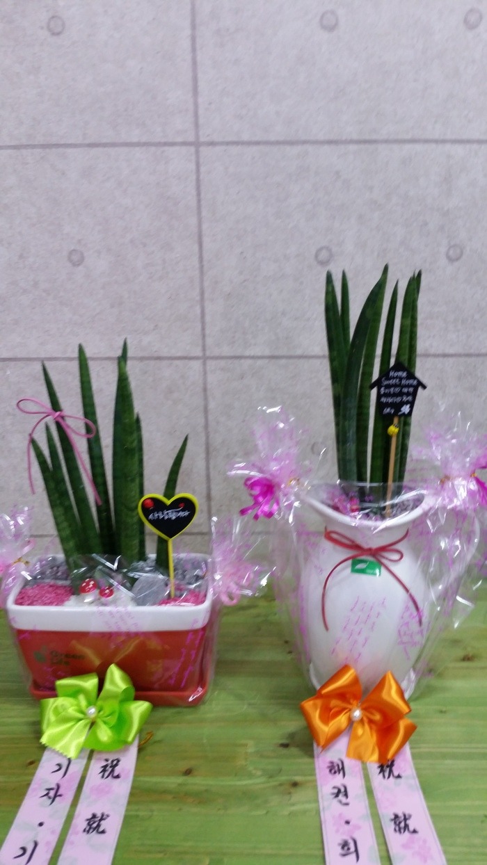 6��12��(�ݿ���)