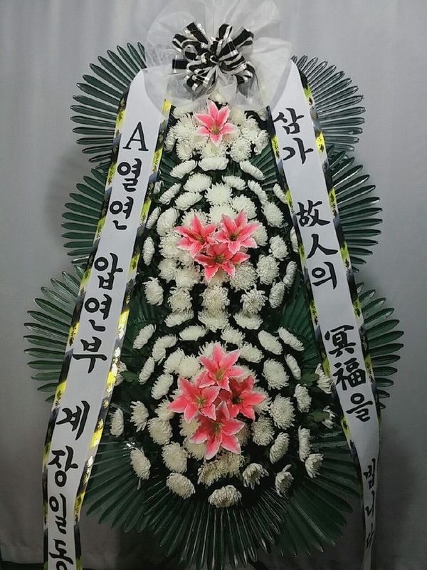 6��12��(�ݿ���)