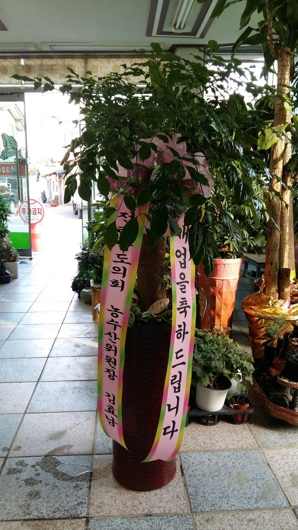 6��12��(�ݿ���)