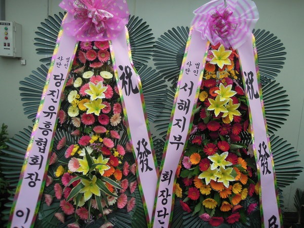 6��12��(�ݿ���)