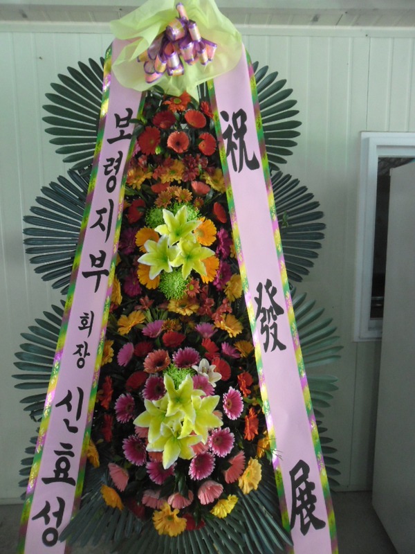 6��12��(�ݿ���)