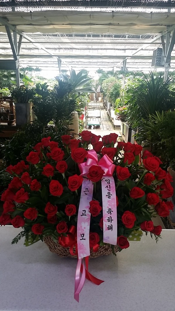 6��12��(�ݿ���)