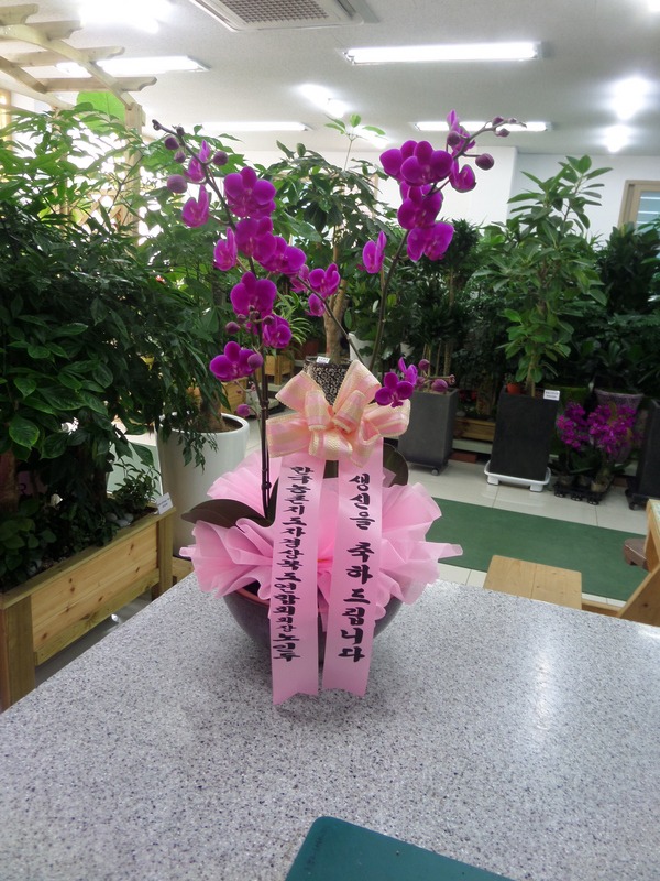 6��23��(ȭ����)