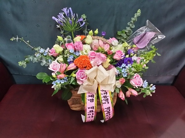 6��23��(ȭ����)