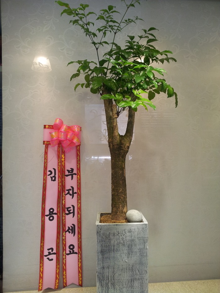 6��23��(ȭ����)