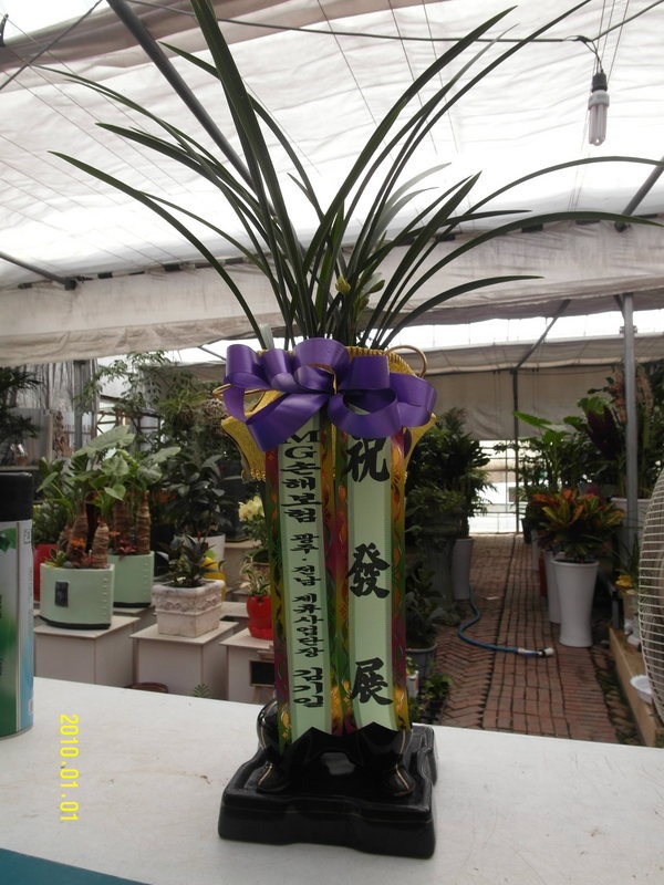 6��23��(ȭ����)