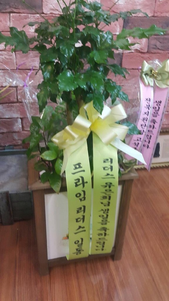 6��23��(ȭ����)