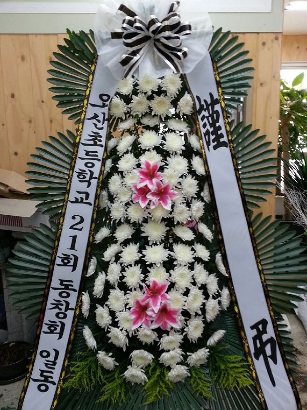 7��3��(�ݿ���)