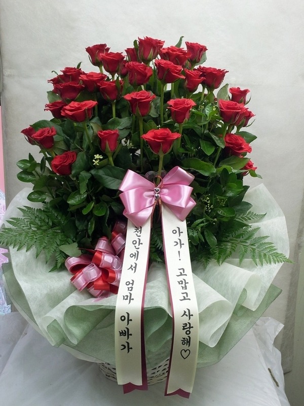 7��3��(�ݿ���)