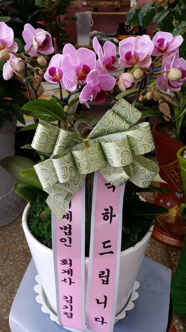 7��3��(�ݿ���)