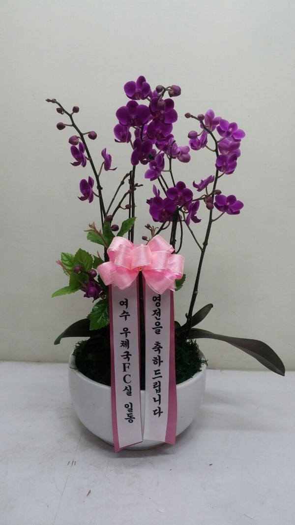 7��3��(�ݿ���)